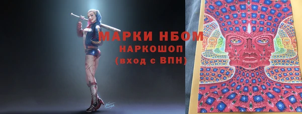 крисы Белокуриха