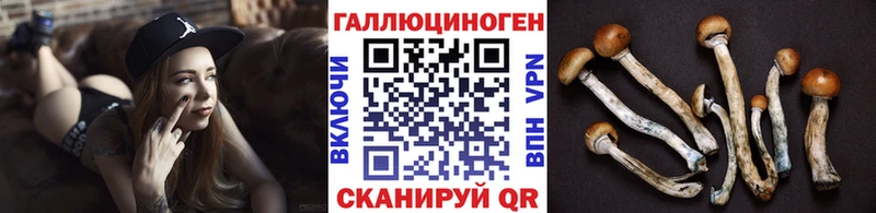Псилоцибиновые грибы прущие грибы  Фёдоровский 