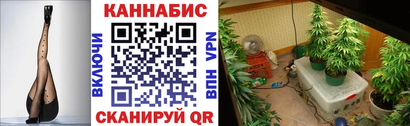 Канабис LSD WEED  как найти наркотики  blacksprut как зайти  Фёдоровский 